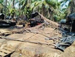 Sinergi Tim Gabungan Polda Sumsel dan Kodam II Sriwijaya, Berhasil Bongkar 75 Lokasi Illegal Refinery di Musi Banyuasin