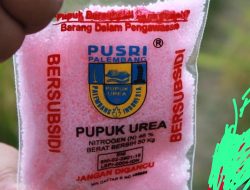 Peredaran Gelap Pupuk Subsidi merajalela, Aparat Penegak Hukum Diam Membisu