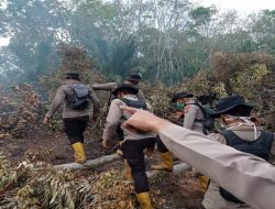 Dibantu Water Bombing, Tim Gabungan Penanggulangan Karhutla Berjibaku Padamkan Api di Indralaya Utara