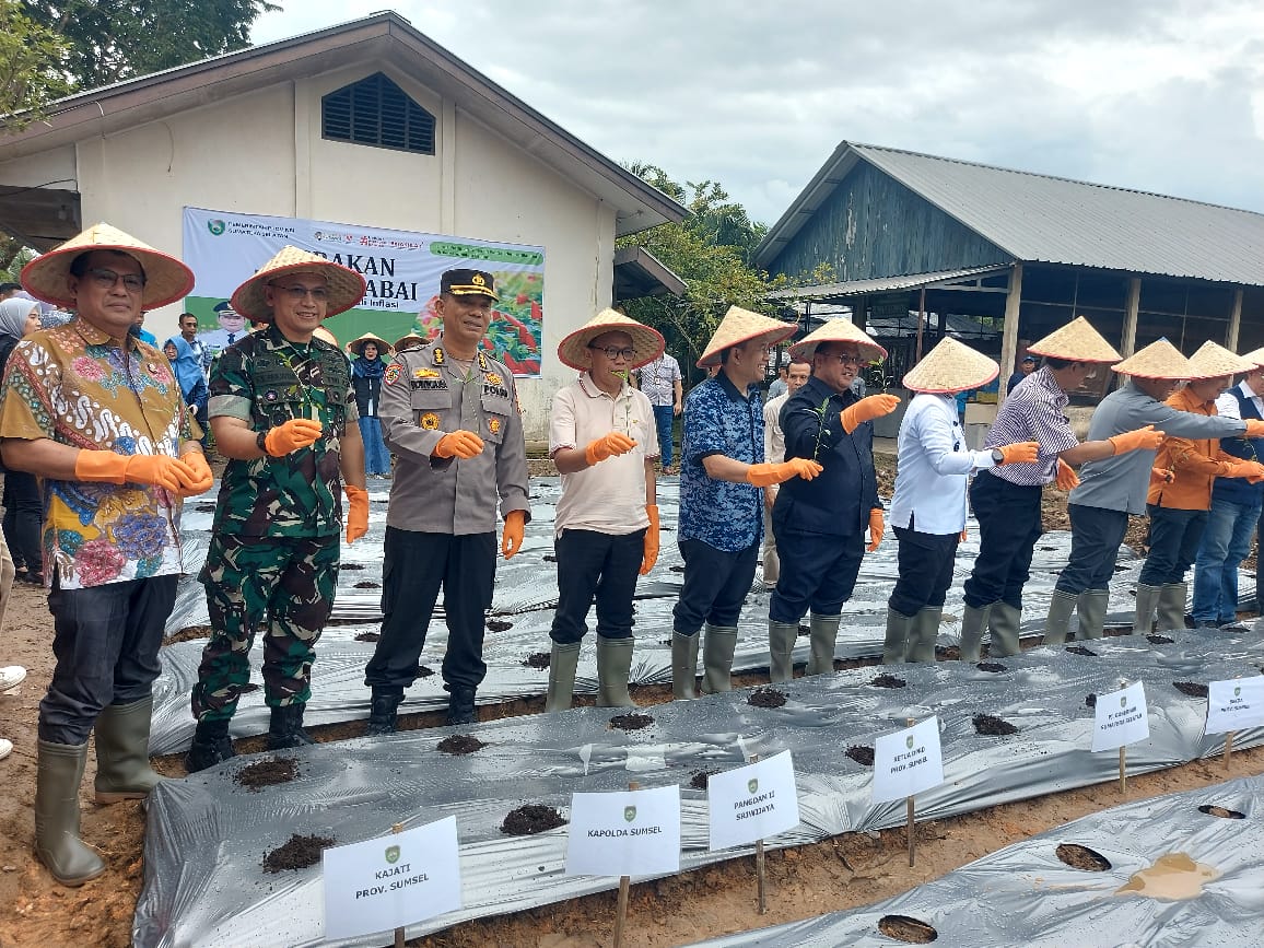 Danramil Bersama Babinsa 418-08/Sako Monitoring Gerakan Tanam Cabai dan Bawang Merah Oleh Dinas Pertanian Prov Sumsel 2