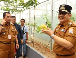 Camat Kemuning Kunjungi Taman Alamanda Farmhouse, Apresiasi Inovasi Wisata Edukasi