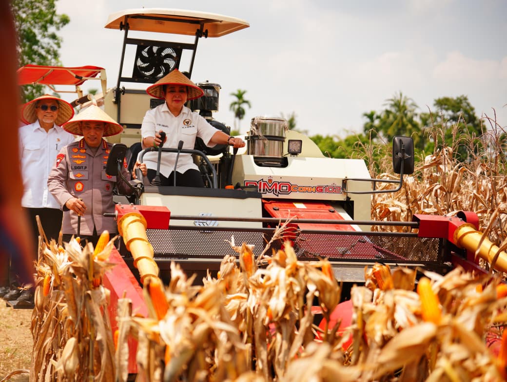 Panen Raya Kuartal III, Polri Hasilkan 751 Ribu Ton Jagung: Bukti Nyata Dukung Swasembada Pangan 1