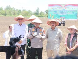 Polda Sumsel Dukung Ketahanan Pangan Nasional, Kapolda Andi Rian Tanam Jagung Bersama Forkopimda di OKI