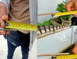 Warga Tin Garden Protes Ketebalan Cor Jalan Diduga Tak Sesuai RAB PUPR Palembang
