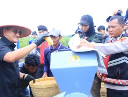 Sekda Sumsel Edward Candra dan Kapolda Sumsel Hadiri Panen Raya Jagung Serentak