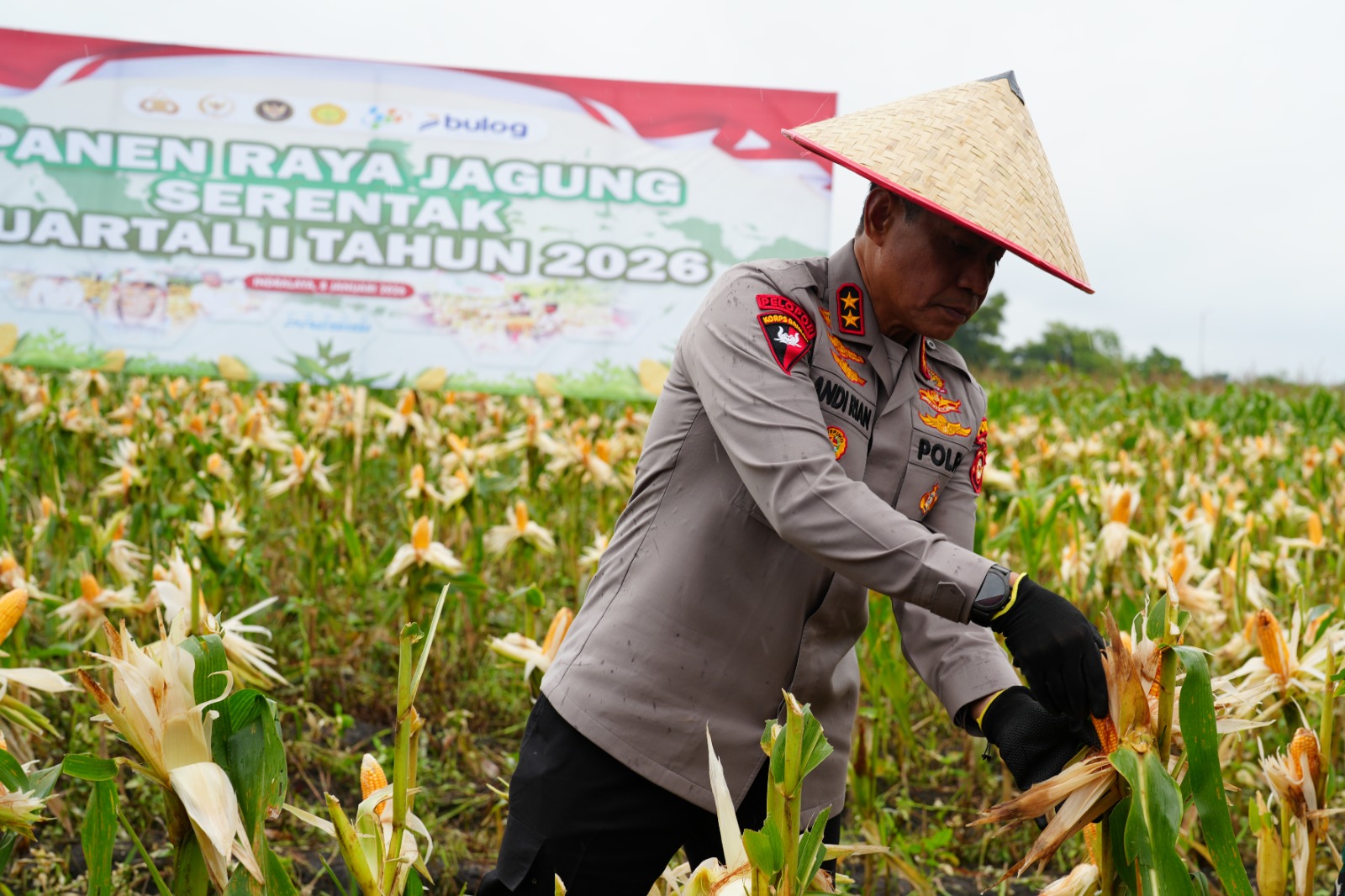 Kapolda Sumsel Didampingi Kapolres Ogan Ilir Salurkan Bansos pada Panen Raya Jagung Serentak 1