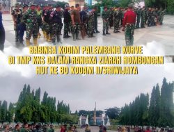 Babinsa Kodim 0418/Palembang Laksanakan Karya Bakti di TMP KKS Jelang Ziarah Rombongan HUT ke-80 Kodam II/Sriwijaya