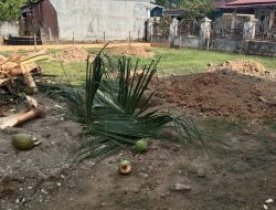 Masyarakat Sambut Dapur MBG, Peluang Kerja dan Usaha Baru Terbuka di Tuik IV Koto Mudik