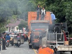 Germapa Soroti Sikap Diam Wali Kota Palopo di Tengah Aksi Pemekaran Luwu Raya