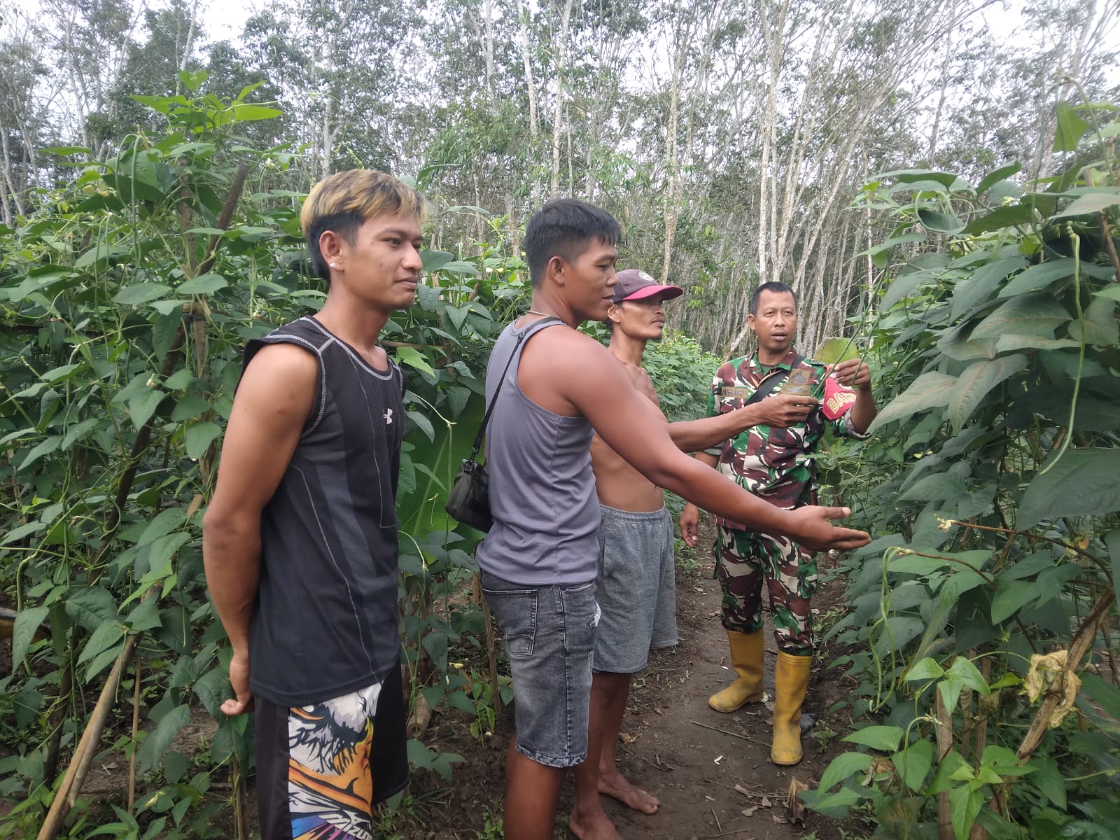 Babinsa Pulokerto Serap Keluhan Petani soal Sulitnya Pupuk Bersubsidi 1