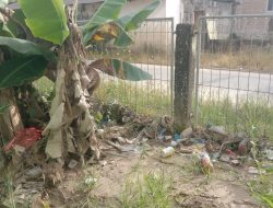 Sampah Menggunung di MTsN 6 Pesisir Selatan, Penjaga Sekolah Diduga Lalai, Pengawasan Kepala Sekolah Disorot Warga