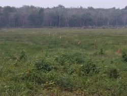 Kisruh Program Cetak Sawah 2025 di OKU Timur: Petani Buay Pemuka Bangsa Raja dan Madang Suku III Mengaku Rugi, Minta Audit Menyeluruh