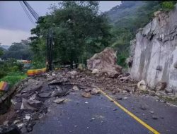 Longsor Tutup Total Jalur Nasional Trenggalek–Ponorogo, Batu Raksasa Blokir Akses
