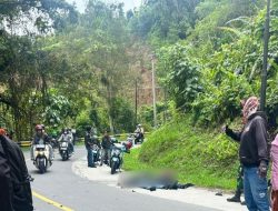 Kecelakaan Maut di KM 11 Battang Palopo, Dua Remaja Asal Belopa Utara Meninggal Dunia