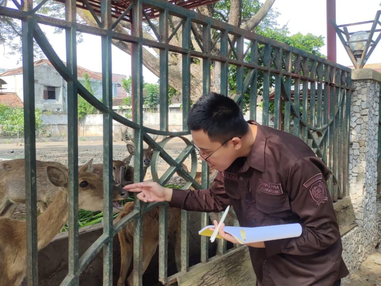 Rusa Pendopo Tulungagung Terlihat Kurus Meski Anggaran Rp600 Ribu per Hari, Ini Penjelasan Disnakeswan 1
