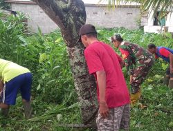 Babinsa Karang Jaya Koramil 418-01/Makrayu Bersama Warga Bersihkan Lahan Kosong, Antisipasi Sarang Hewan Berbahaya