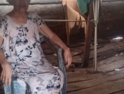 Tiga Tahun Tanpa Rumah Layak, Jeritan Sunyi Asmina di Kertapati Menanti Uluran Tangan