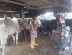 Babinsa Pulokerto Laksanakan Komsos dengan Peternak Sapi di Gandus