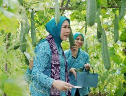 PKK Jadi Mitra Strategis Pembangunan Berbasis Keluarga di Kabupaten OKI