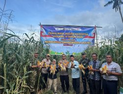 Polres Muratara Gelar Panen Raya Jagung Serentak Kuartal II, Dukung Swasembada Pangan 2026