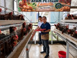 Panen 190 Telur, Lapas Kelas I Palembang Optimalkan Pembinaan Produktif Warga Binaan