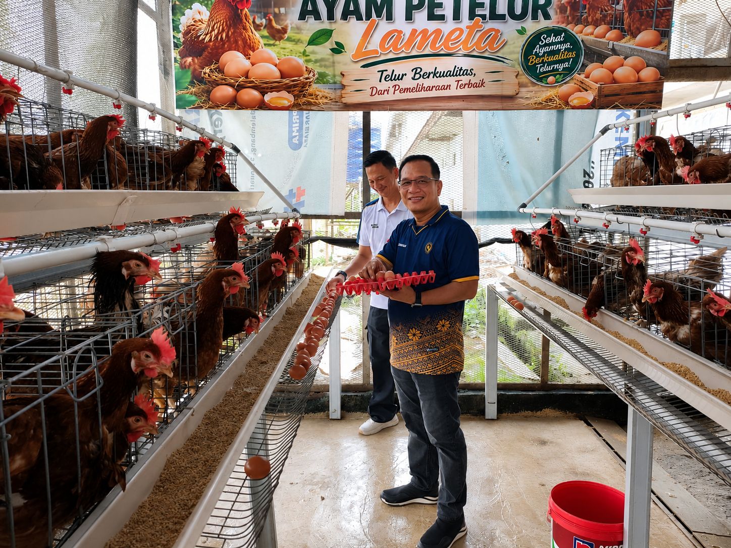 Panen 190 Telur, Lapas Kelas I Palembang Optimalkan Pembinaan Produktif Warga Binaan 1