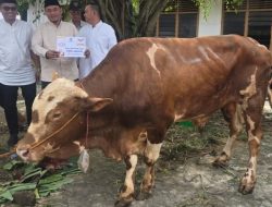 Andie Dinialdie Pimpin Langsung Pembagian 800 Kantong Daging Kurban Golkar Sumsel