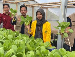 Universitas Cokroaminoto Palopo Terapkan Sistem Irigasi Pintar Berbasis IoT untuk Kelompok Tani Bukit Lombu di Luwu