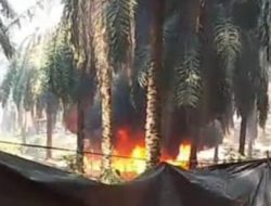 Skandal Minyak di Lahan Hindoli: Lawan Pungli 13% Oknum