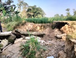 Jembatan Penghubung di Desa Negeri Ratu Bunga Mayang Ambruk, Warga Desak Pemkab OKU Timur Segera Bangun Kembali