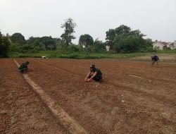 Satgas TMMD ke-129 Kodim 0418/Palembang Siapkan Lahan Ketahanan Pangan