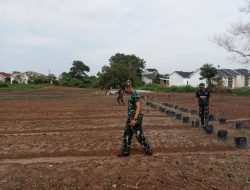 TMMD ke-129 Kodim 0418/Palembang Tanam Harapan Baru Lewat Budidaya Sawi dan Pakcoy