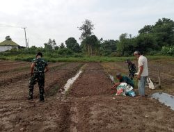 Warga Sambut Antusias Lahan Ketahanan Pangan TMMD Ke-129 Kodim 0418/Palembang, Siap Ditanami Sawi dan Pakcoy