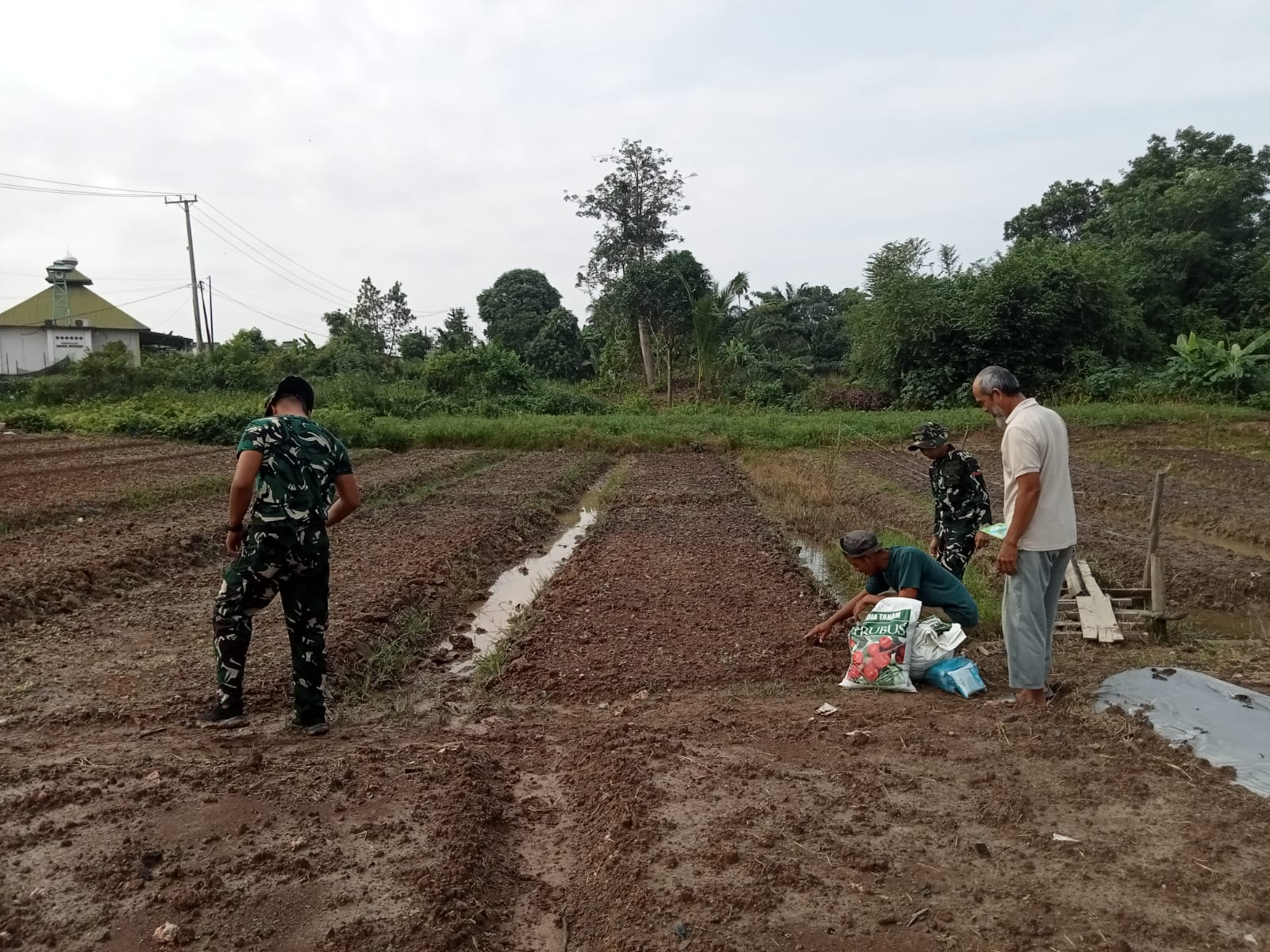 Warga Sambut Antusias Lahan Ketahanan Pangan TMMD Ke-129 Kodim 0418/Palembang, Siap Ditanami Sawi dan Pakcoy 1