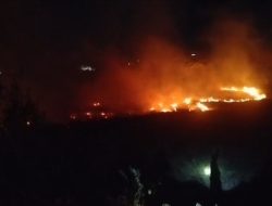 Lahan Eks Dermaga Batubara Aset PT Pertamina di Plaju Palembang Terbakar, Polisi Selidiki Penyebabnya