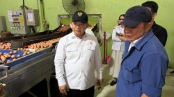 Herman Deru Dampingi Kepala Staf Kepresidenan Tinjau Peternakan Ayam Petelur di Banyuasin 2