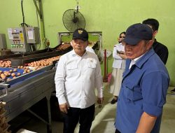 Herman Deru Dampingi Kepala Staf Kepresidenan Tinjau Peternakan Ayam Petelur di Banyuasin