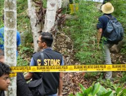 Bea Cukai Lhokseumawe Perkuat Sinergi, Turut Musnahkan Ladang Ganja di Sawang