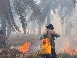 Operasi Aman Nusa II, Polda Sumsel Respons Cepat Padamkan Karhutla di OKI