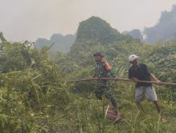 Kebakaran Lahan Palembang Terus Terjadi, Babinsa dan Aparat Gabungan Tak Kenal Lelah Hadang Kobaran Api