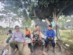 Komsos Bersama Masyarakat Babinsa Pulokerto Bahas Penurunan Hasil Pertanian Akibat Musim Kemarau