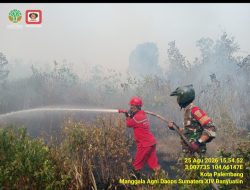 Babinsa Pulo Kerto Gerak Cepat Hadang Kobaran Api, 3 Hektare Lahan Terbakar