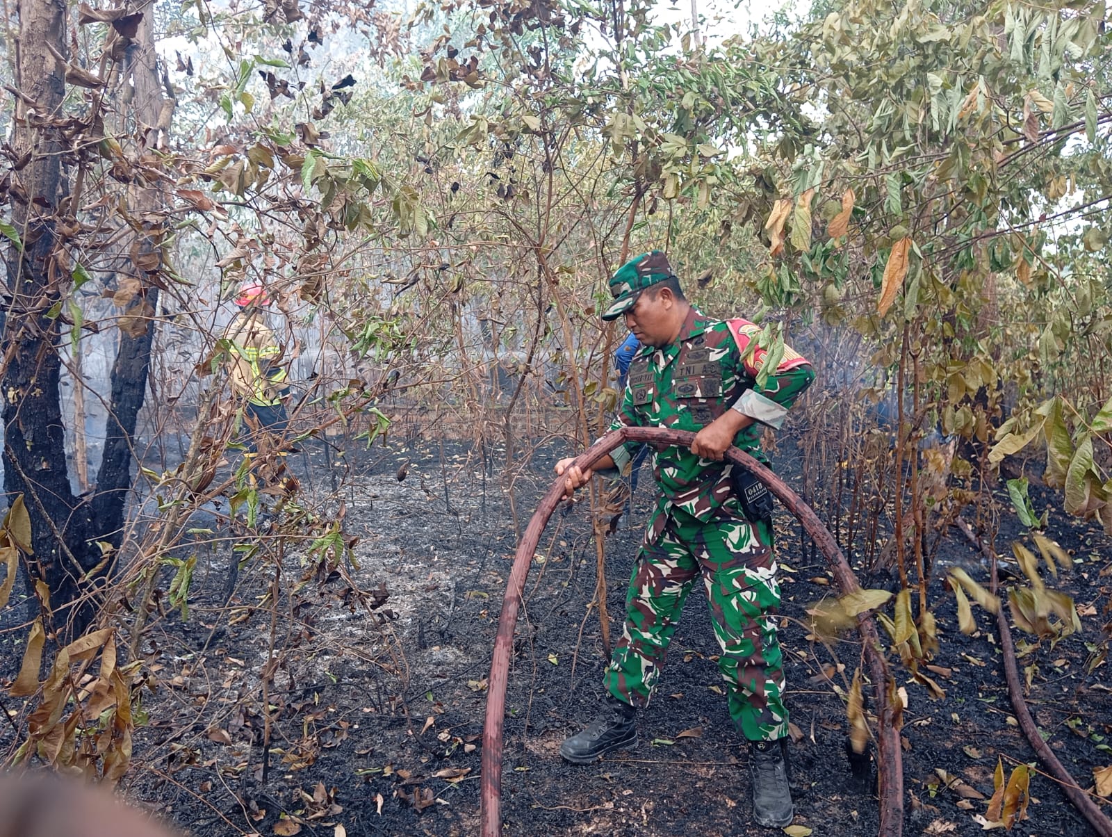 Kebakaran Lahan Seluas 1 Hektare Terjadi di Kaplingan DPRD Palembang, Api Berhasil Dipadamkan 1