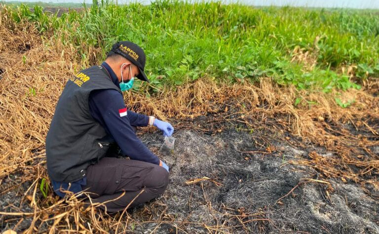Polres OKI Buru Jejak Api di Ulak Kemang Baru, Labfor Ambil Sampel Abu dan Arang 1