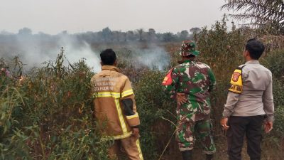 Kebakaran Lahan 2,5 Hektare Terjadi di Karya Jaya, Babinsa dan Damkar Lakukan Pemadaman