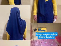 Viral di Media Sosial, Polda Sumsel Tangkap Pengasuh Diduga Aniaya Balita di Sukarami