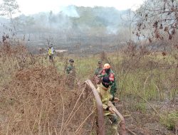 Babinsa dan Satgas Karhutla Kodim 0418 Padamkan Kebakaran 2 Hektare Lahan di Gandus