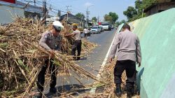 Truk Tronton Kelebihan Muatan Tebu, Polsek Babat Respons Cepat Laporan Call Center 110 2