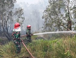 Babinsa Pantau Kebakaran Lahan 2 Hektare di Pulokerto Gandus, Api Berhasil Dipadamkan