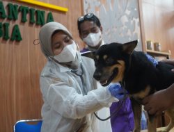 96 Hewan Sudah Divaksin, Karantina Sumsel Kejar Target Bebas Rabies 2030